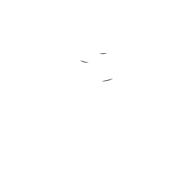 MediriansOrientalHealing